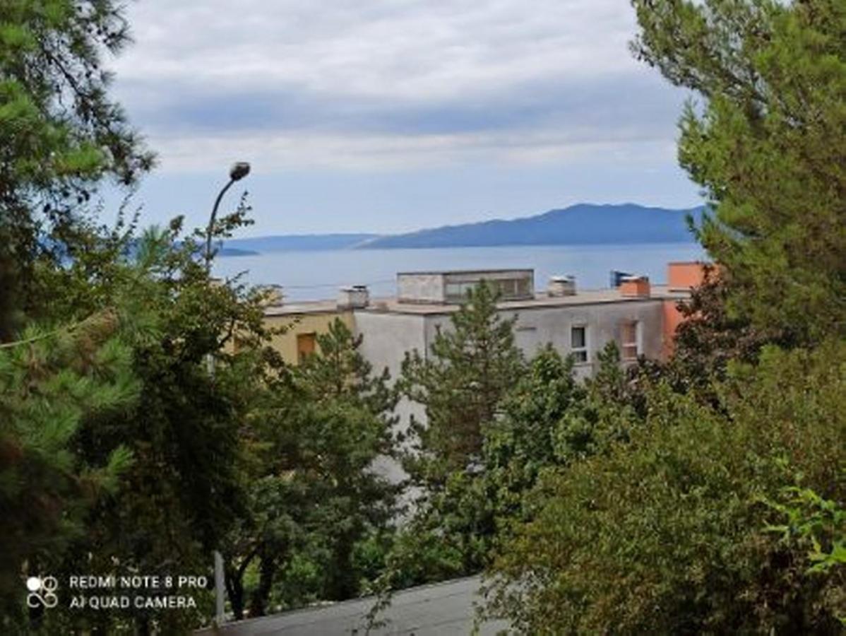 Apartment Jasna Rijeka Bagian luar foto